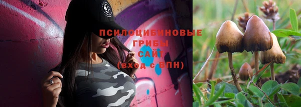 гашик Ростов