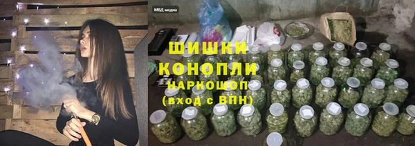 гашик Ростов