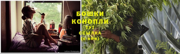 молекула духа Рославль