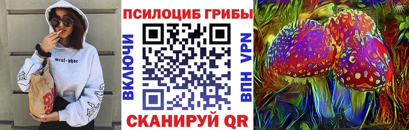 Псилоцибиновые грибы мицелий  продажа наркотиков  Тырныауз 